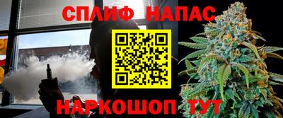 дживик Моздок