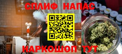 дживик Моздок