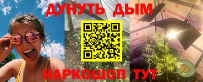 apvp Можга