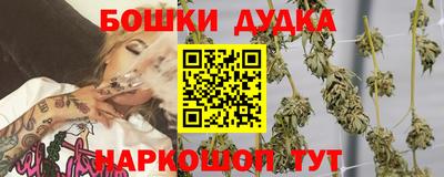 дживик Моздок
