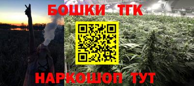 apvp Можга