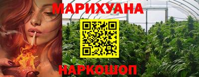 apvp Можга