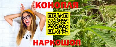 дживик Моздок