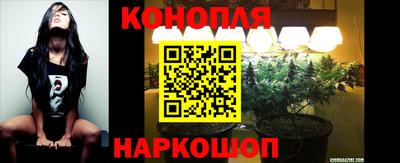 дживик Моздок