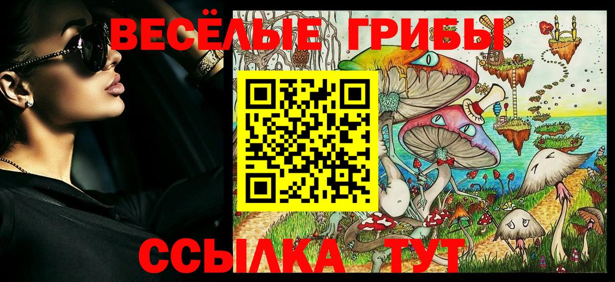 Галлюциногенные грибы Psilocybine cubensis Чехов