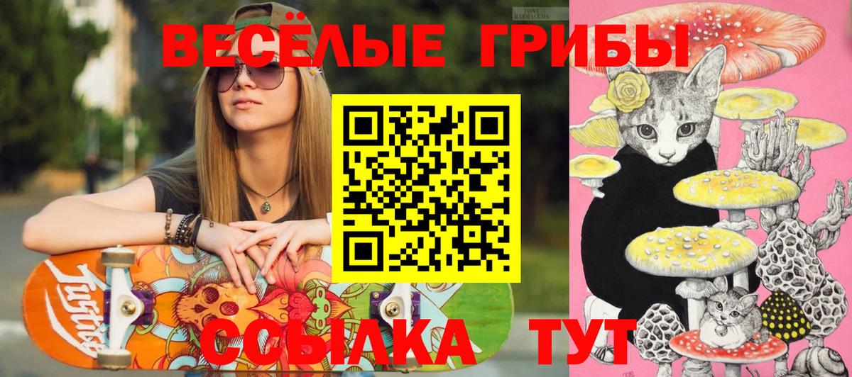 Псилоцибиновые грибы GOLDEN TEACHER  Псилоцибиновые грибы MAGIC MUSHROOMS  Чехов  Вход с VPN 